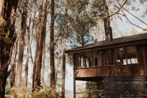 Forest Retreat
